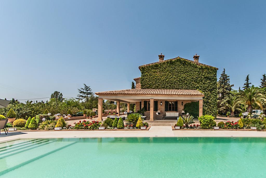 Santa Maria Dreams Awarded 2025 * Santa Maria del Cami (Mallorca)