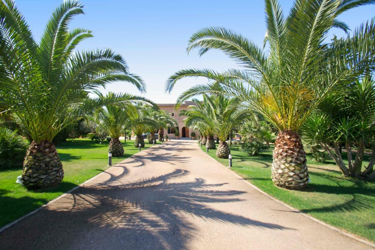 Santa Maria Dreams Awarded 2025 * Santa Maria del Cami (Mallorca)