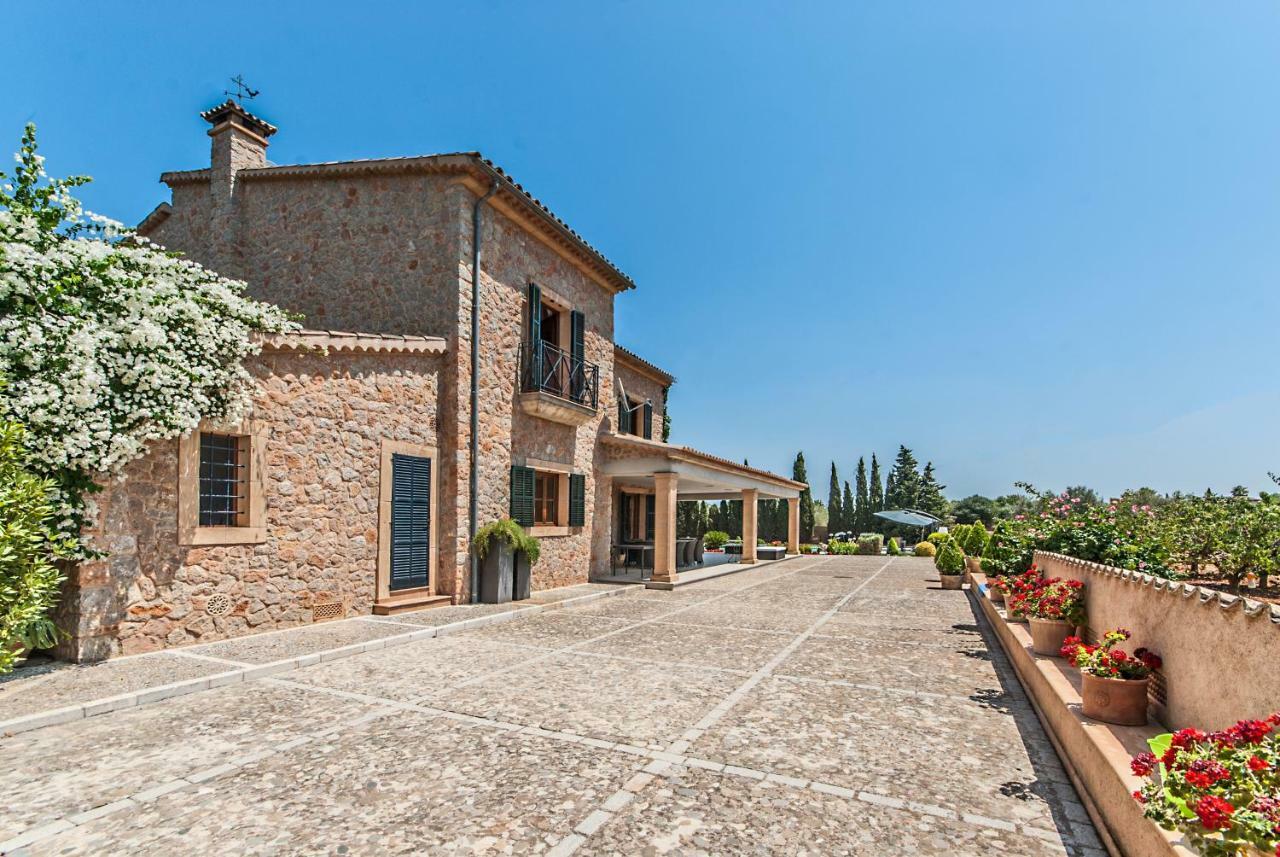 Santa Maria Dreams Awarded 2025 Santa Maria del Cami (Mallorca)