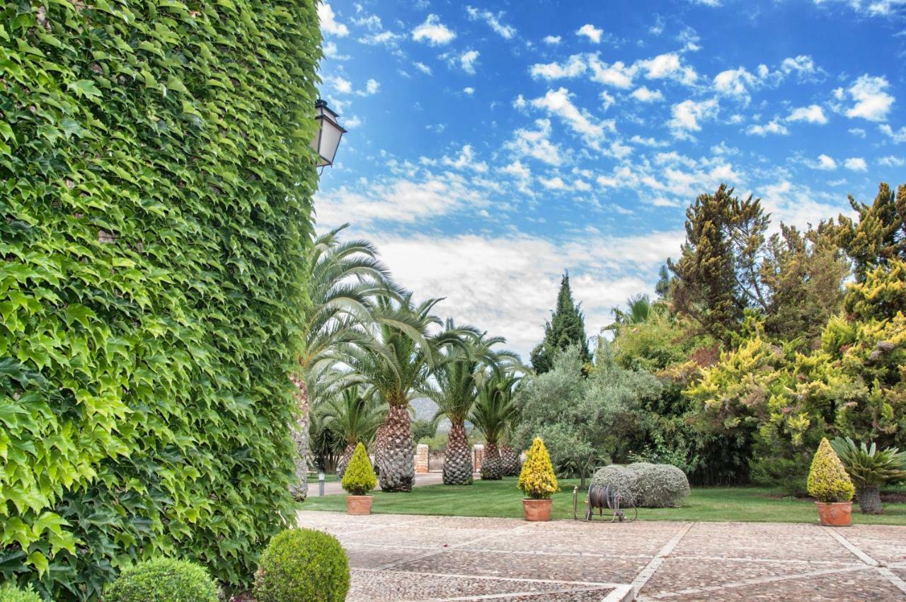 Santa Maria Dreams Awarded 2025 Villa Santa Maria del Cami (Mallorca)
